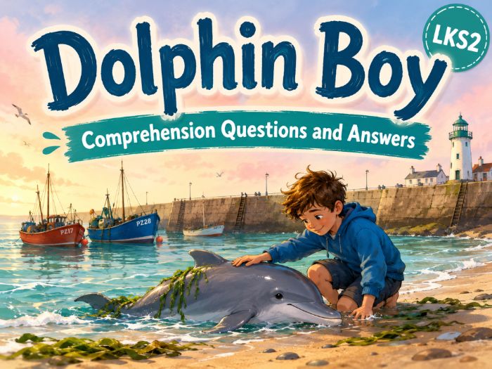 Dolphin Boy - Comprehension - LKS2