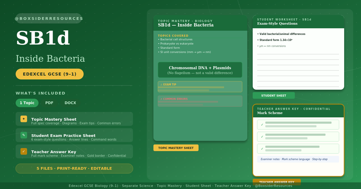 docx, 12.51 KB
