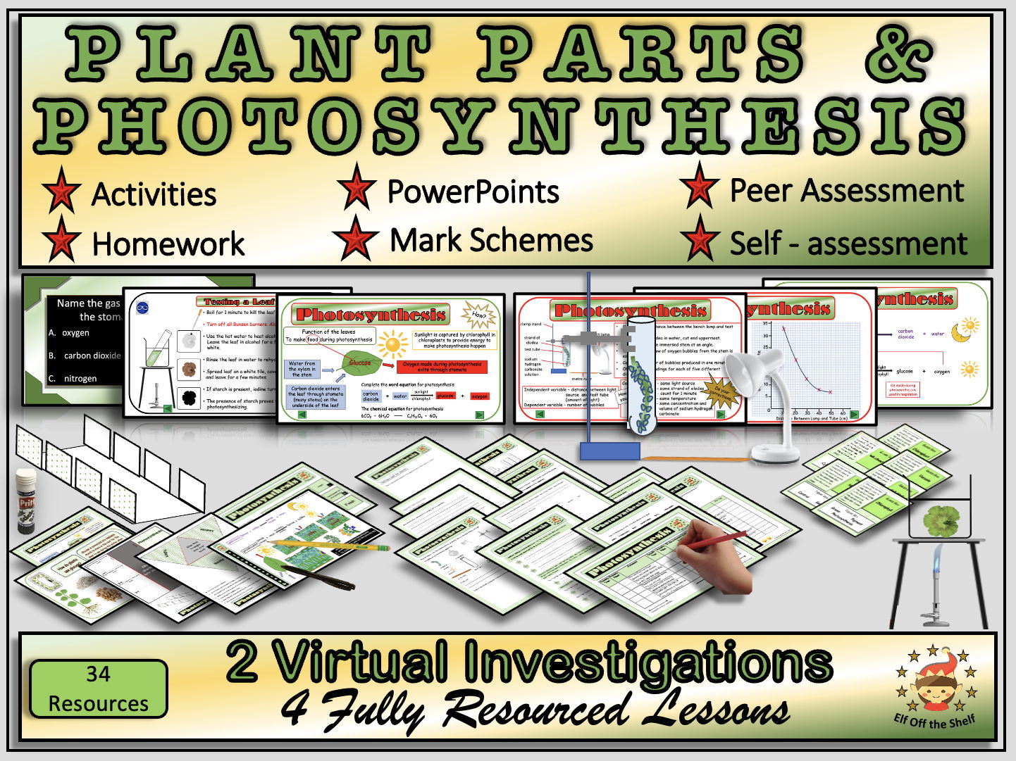 Plant Anatomy  and Photosynthesis Explained With Two Virtual Investigations KS3