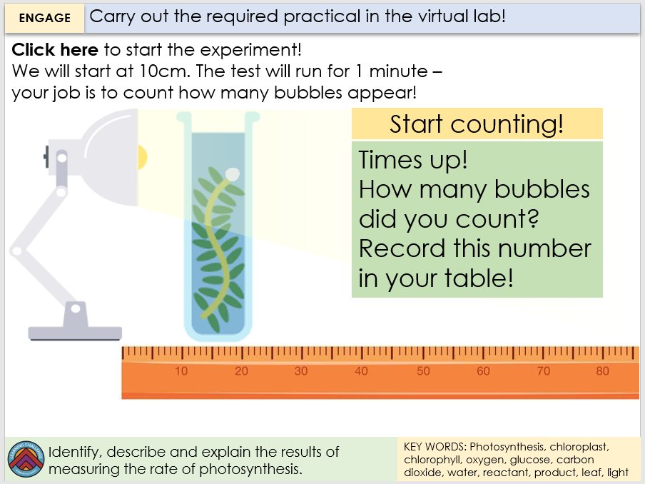 Pondweed photosynthesis experiment temperature picture
