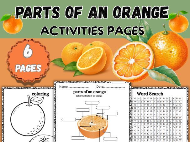 Parts of an Orange Worksheet