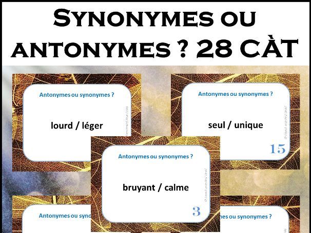 Antonymes ou synonymes ? 28 CÀT / Synonyms and Antonyms
