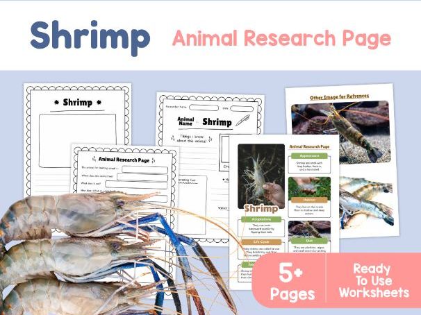 Shrimp Research Project | Ocean Animal Science Worksheets