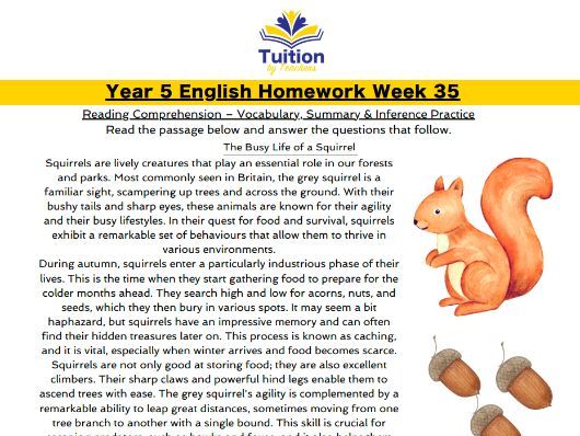 35. Year 5 Reading Comprehension & Apostrophes for Plural Possession
