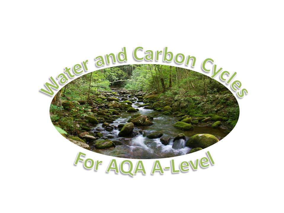 Water and Carbon Cycles for AQA ALevel Teaching Resources