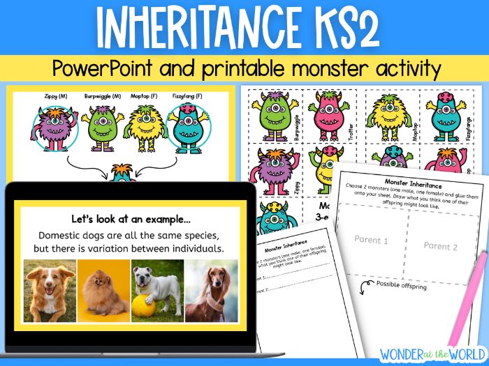 KS2 inheritance PowerPoint presentation and monster activity