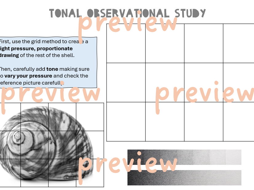 Sea Life - Tonal Observational Study (grid method)