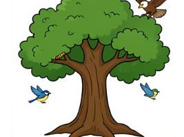 Ecology - Food Chains, Food Webs & Energy Flow