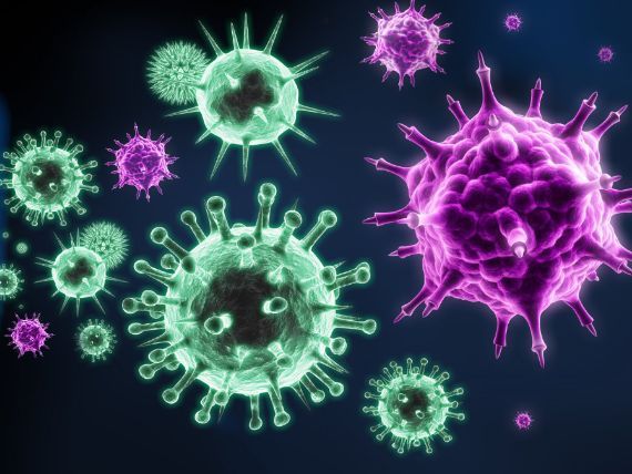 iGCSE Biology - 10.1 Diseases and immunity