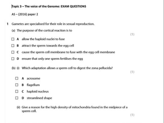 Edexcel (A) A level Biology Topic 3: Voice of the Genome: Exam questions and answers
