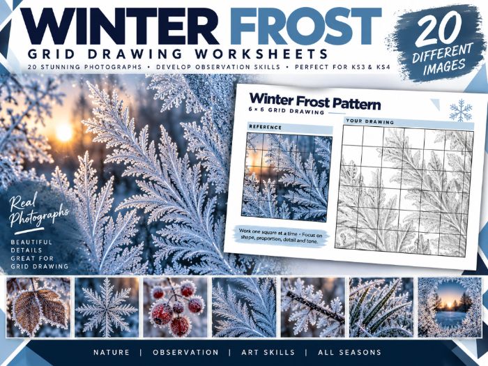 Winter Frost Grid Drawing Worksheets | 20 Winter Nature Art Activities | KS3 KS4 Art