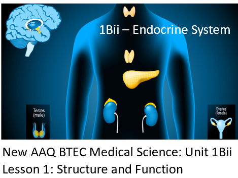 NEW: AAQ BTEC Medical Science Unit 1B Endocrine System - Lesson 1 Structure and Function
