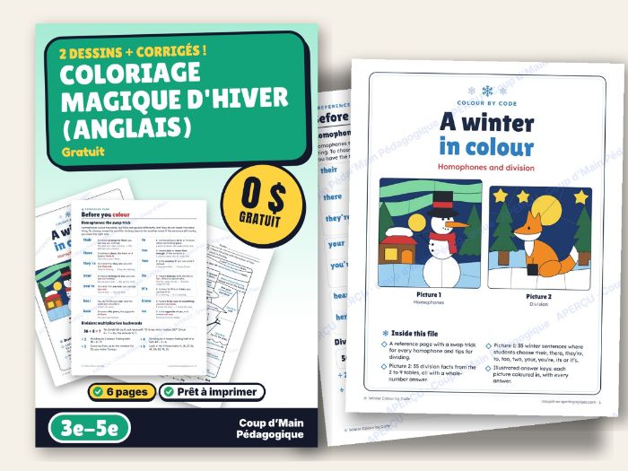 FREE Winter Colour by Code Homophones and Division Grade 3-5 | Color by Number