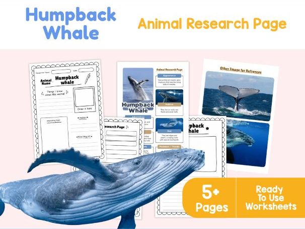 Humpback Whale Animal Research Page | Marine Biology Activities