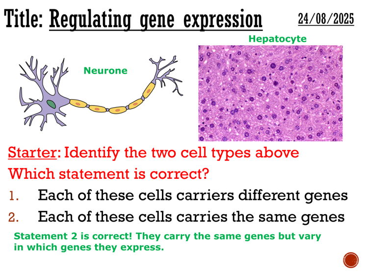 Gene expression (lac operon) - Complete lesson (A2)