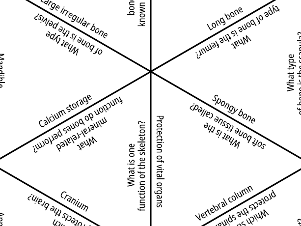 GCSE PE - TARSIA Game - Bones and Structure of the Skeleton