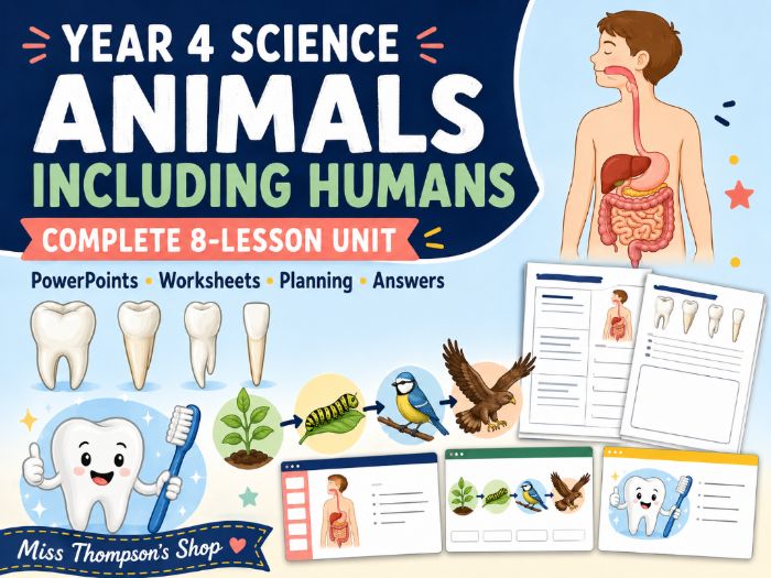 Year 4 Animals Including Humans Complete Unit | Teeth, Digestion & Food Chains