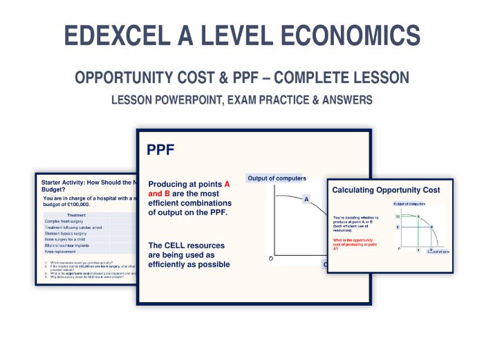Opportunity Cost & PPF – A-Level Economics