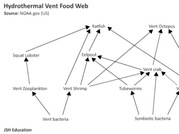 Hydrothermal Vent Food Web