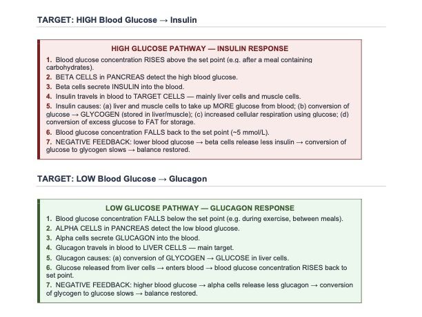Ch. 13 Excretion in Humans — Exam-focused Complete Revision Guide — Cambridge IGCSE Biology 0610