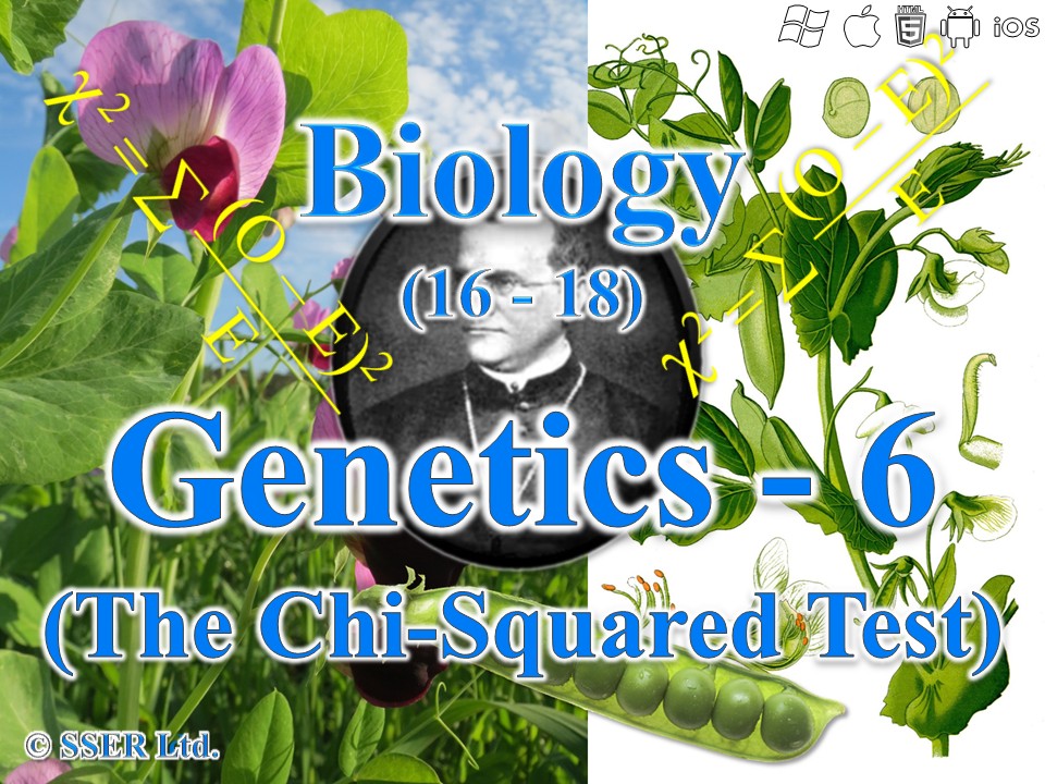 BioA_3.7.1 Statistics - Chi Squared Test