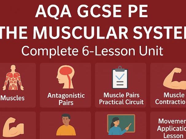 AQA GCSE PE Paper 1 – The Muscular System 6-Lesson Unit