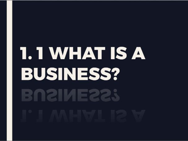 IB Business Management 1.1 - What is a Business?