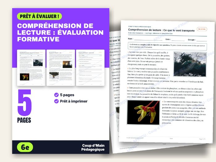 French Reading Comprehension Test Grade 6 Formative | Évaluation formative