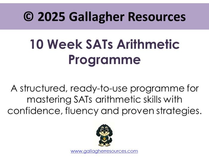 Full 10 Week SATs Arithmetic Programme