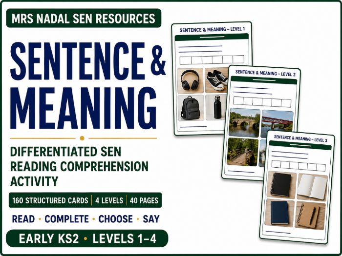 Sentence & Meaning Cards | Differentiated SEN Reading Comprehension Activity | 4 Levels