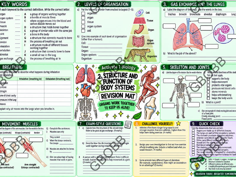 Activate 1 Biology 2 Structure and Function of body systems Revision Mat