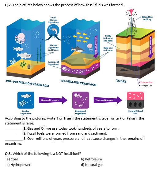 Fossil Fuel Formation For Kids