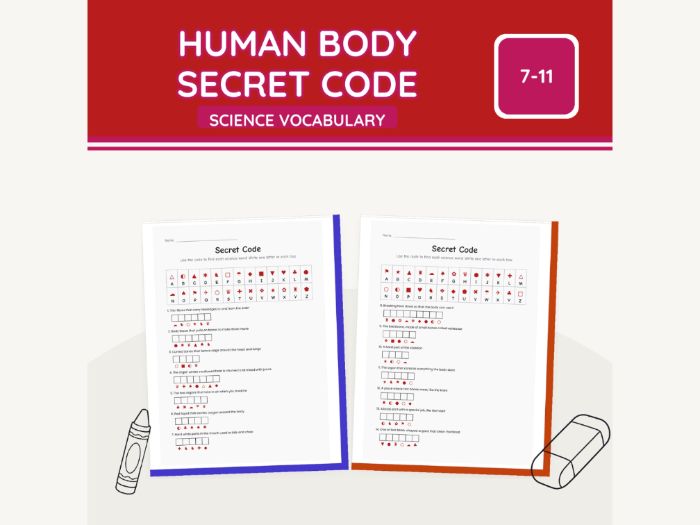 Human Body Secret Code KS2 Science | 7 Sheets