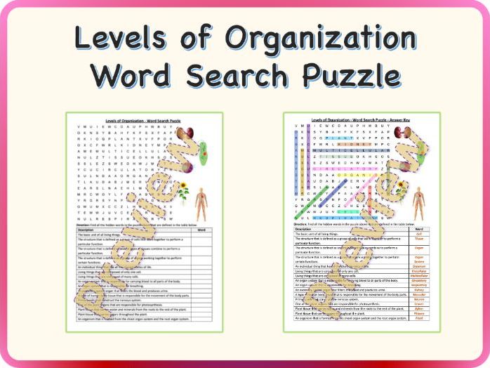 Levels of Organization - Word Search Puzzle Worksheet Activity (Printable)