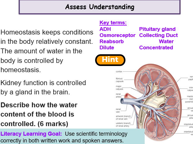 Pearson AAQ Medical Science Unit 1- Topic B- Complete Topic x 9 Lessons
