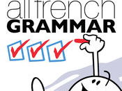 Extensive French grammar practice for GCSE students