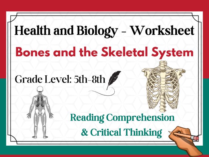 Bones and the Skeletal System: Reading Comprehension Passages ...