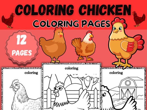 Chicken Coloring Pages