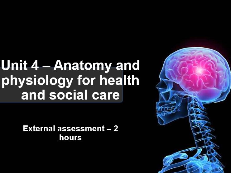 Cambridge technical Health and social care EXAM Unit 4 Anatomy & Physiology Teaching Resources