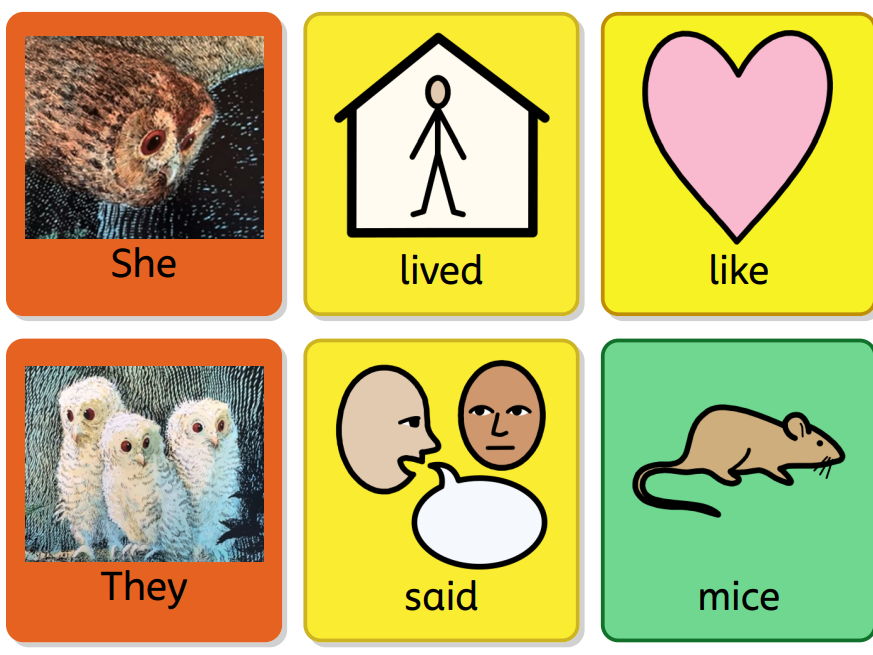 Owl Babies Colourful Semantics