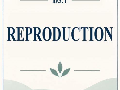 IB Biology HL D3.1 Reproduction MCQ Practice