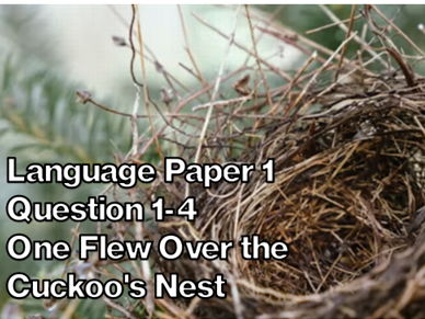 Language Paper 1, Question 1-4: One Flew Over the Cuckoo's Nest