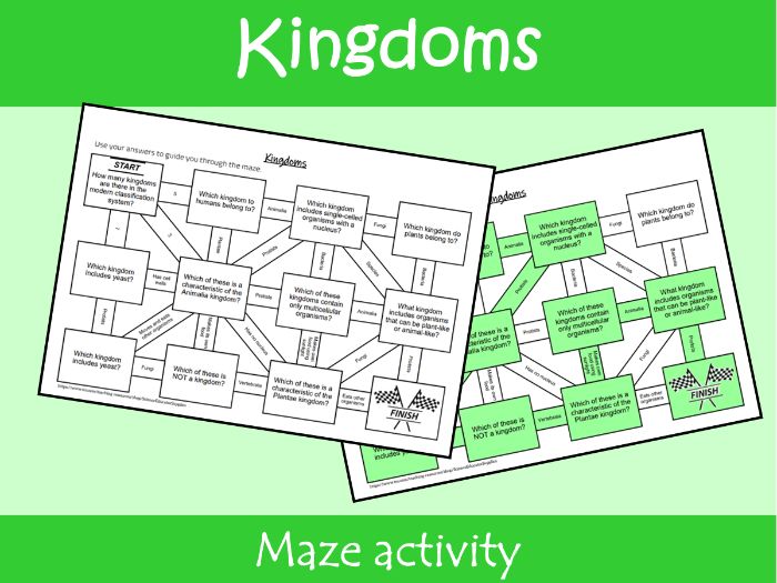 Kingdoms Maze Worksheet | KS2–KS3 Science Revision Activity