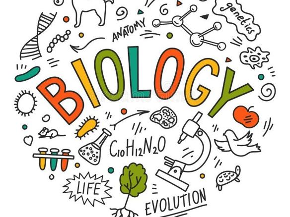 IGCSE CIE Biology complete syllabus SoW: ppt and resources
