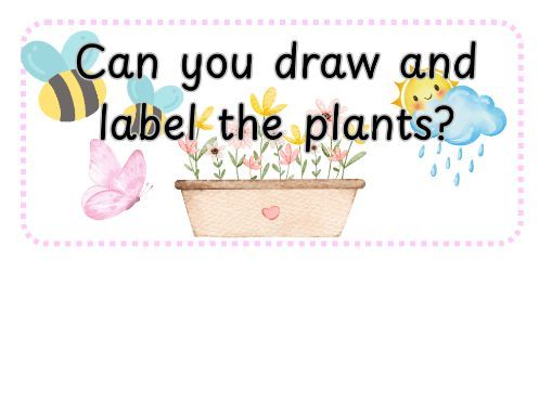 Spring Plant Pictures for Writing