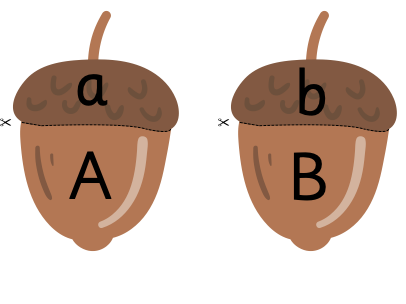 Alphabet Matching Acorns