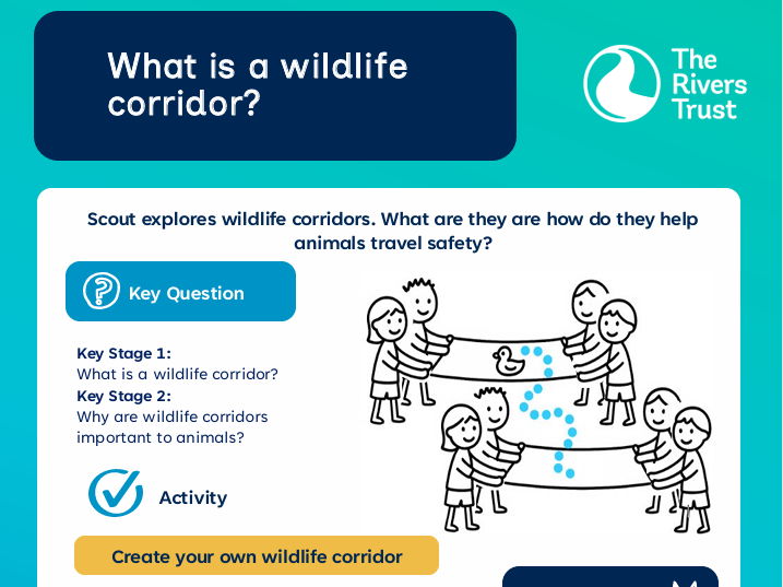 Activity card: What is a wildlife corridor?