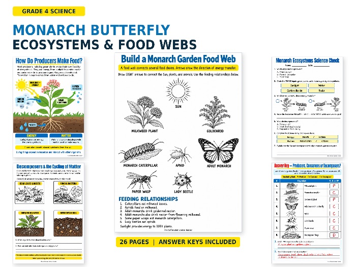Monarch Butterfly Ecosystems & Food Webs Worksheets | Grade 4 Science
