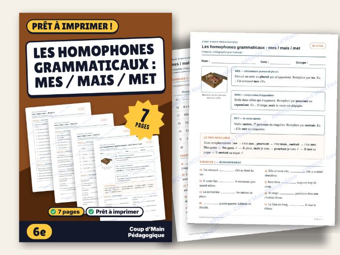 French Homophones mes mais met Worksheet Grade 6 | Homophones mes / mais / met