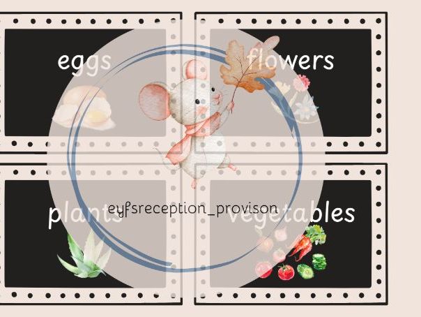 Feed the Hungry Dinosaurs – Complete EYFS Maths Provision Pack